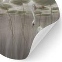 Muursticker lotusbloemen met zwaan in water in grijs - Ms Tiff - Rond