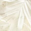 Tropical fotomural abstracto blanco hojas de palma - Kulik