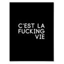Póster C'est la fucking vie