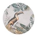 Póster Bosque tropical con tucán - Haase - Redondo