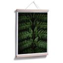 Plakat - Botanical 02