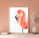 Póster Goed Blauw - Flamenco rosa