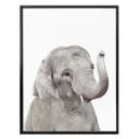 Plakat - Sisi & Seb - Baby Elephant