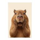 Overrasket Capybara Tekstil plakat
