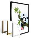 Plakat - Klatrende Panda