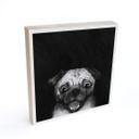 Billede af træ til at sætte op - Graves - Snuggle Pug - 15x15 cm