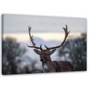 Canvasbillede, Hjort