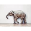 Fototapet - The Walking Elephant
