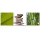 3-delt lærredsprint Nature Zen