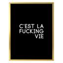 Póster C'est la fucking vie