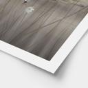 Poster lotusbloemen met zwaan in water in grijs - Ms Tiff