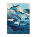 Póster Marrón - Ballenas