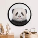 Póster Sisi & Seb - Panda bebé - Redondo