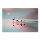 Tableau sur verre Natalia - Famille de flamants roses