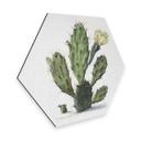 Hexagone - Alu-Dibond Saftleven - Cactus