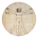 Sticker mural De Vinci - Etude des proportions - Rond