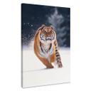 Lienzo Tigre siberiano en la nieve - van Duijn