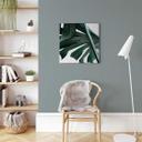 Lienzo Jungla Urbana 02 - Monstera Deliciosa - Cuadrado