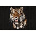 Architects Paper Papier peint photo Atelier 47 Polygon Tiger animal
