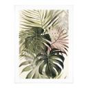Póster Hojas Tropicales Boho - Haase