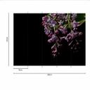 DarkFlowers1 blomstertapet sortlilla - non-woven tapet Designwalls 2 - 2,55 x 3,5 m