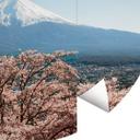Fototapet - Rundt Colombo - Mount Fuji in Japan - vliesetapet/selvklæbende non-woven tapet