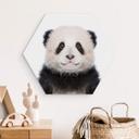Hexagone - alu-Dibond Sisi & Seb - Baby Panda