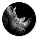 Tableau en verre Meermann - Le rhinocéros - Rond