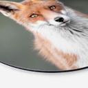 Alu-Dibond van Duijn - Yeux de renard - Rond