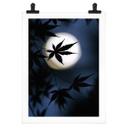 Póster Tomihisa - Arce japonés a la luz de la luna