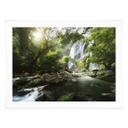 Póster cascada en el bosque - Fotografía de naturaleza - Foto