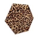 Billede af træ Vild leopard - dyreprint - Tunaboylu