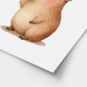 Plakat til børneværelset - Capybara med sommerfugl - Capy Diem