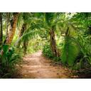 Vægmaleri Designwalls i grønt og brunt non-woven tapet Palm Walk regnskov natur