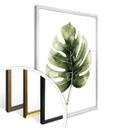 Plakat - Kvilis - Monstera leaf