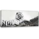 Canvasbillede, Tiger dyreliv natur