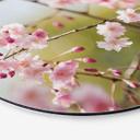 Tableau en alu-Dibond Fleurs de Cerisier - Rond
