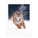 Póster Tigre siberiano en la nieve - van Duijn