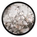 Plakat Annie - Wild Grass
