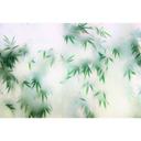 Fotomural Paredes de Patel 3 Panda`S Paradise 3 verde, blanco, beige