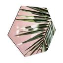 Hexagon Dibond Palmeblad foran lyserød væg - Böhmer