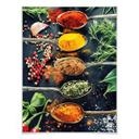 Póster sobre la diversidad de las plantas 01