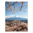 Póster Colombo - Monte Fuji en Japón