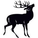 Rådyr 1