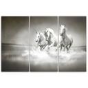 3 stykke lærredsprint, hvide heste galop