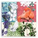 Canvasbillede, Flamingo fugle collage