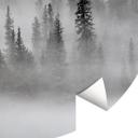 Cloud forest wallpaper i sort og hvid - Forest wallpaper round - Xu - vliesetapet/selvklæbende non-w