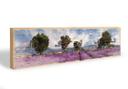 Sleutelbord Lavendel Veld + 5 Haken
