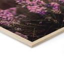 Cuadro de madera flor de brezo púrpura en luz cálida - Annie