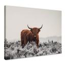 Canvas van den Helm - Highlander